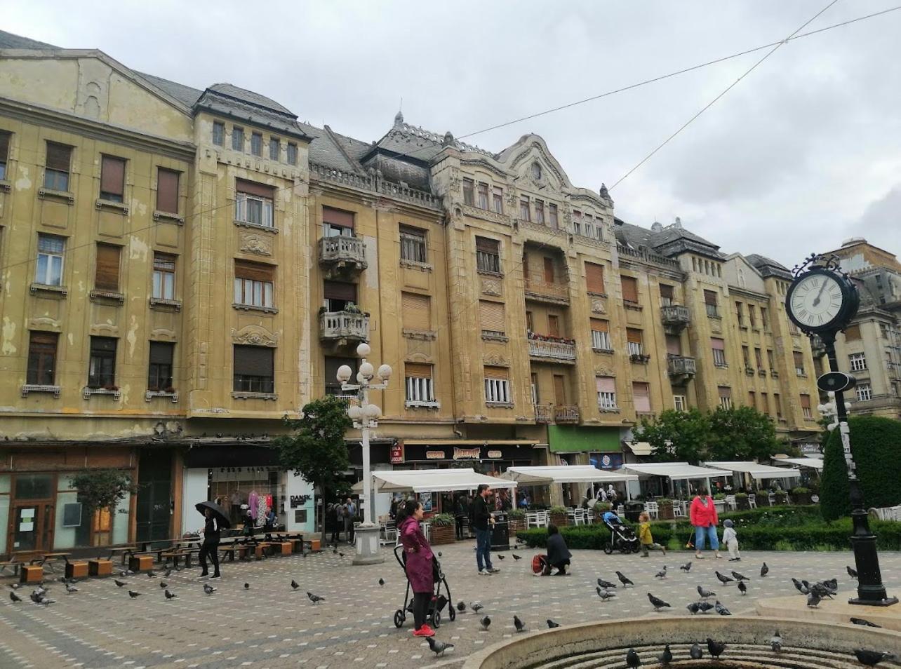 Apartament Premium Timișoara Zewnętrze zdjęcie